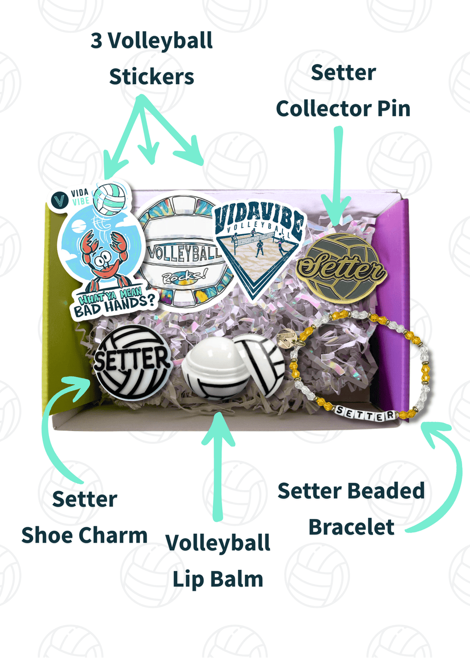 Setter Gift Bundle